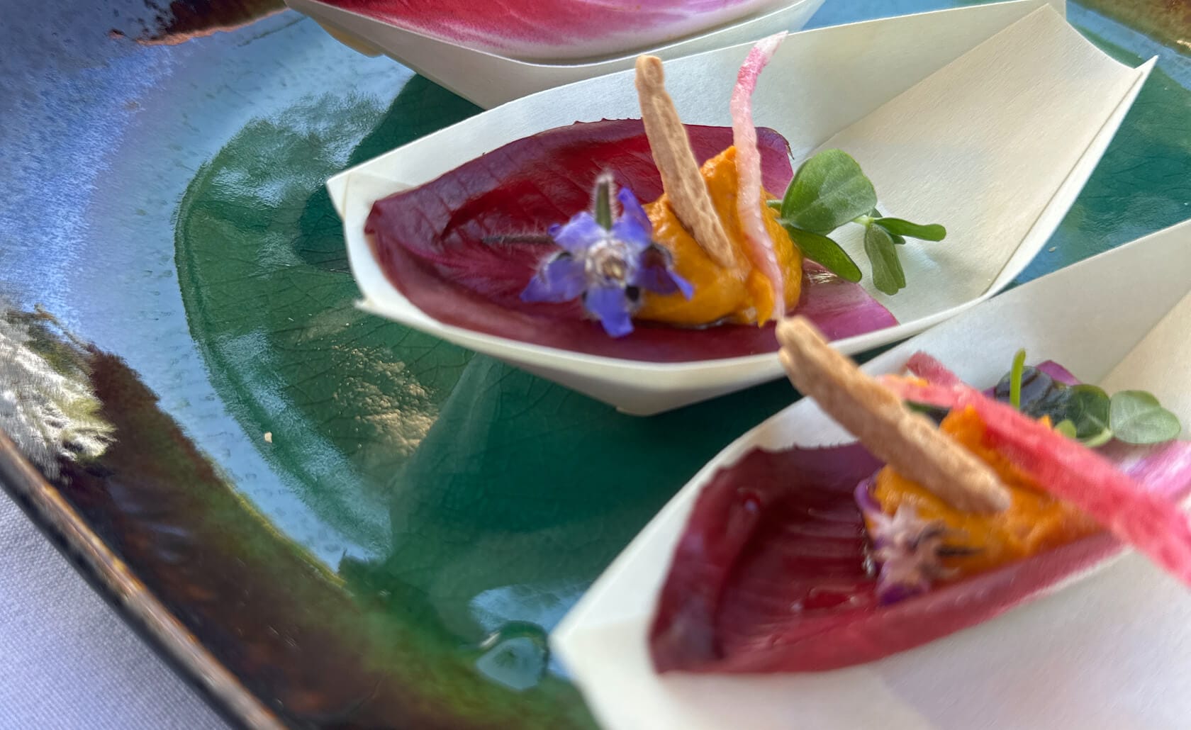 A close view of an appetizer